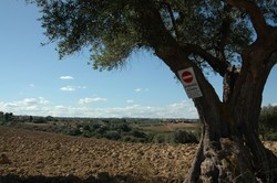 Foto van Casa Enrique